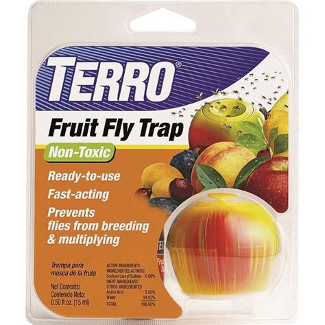 fruit fly trap walmart|More.